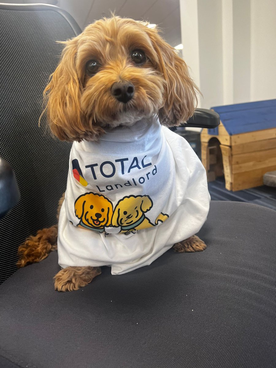 Hamilton’s suited up and ready for the @landlordinshow tomorrow at Old Billingsgate! 🐶🏡

Come say hi to the Total Landlord team 👋
 📍 bit.ly/3Ii2Z5E 

#TotalLandlord #NLISLondon #LandlordLife #OfficeDog
