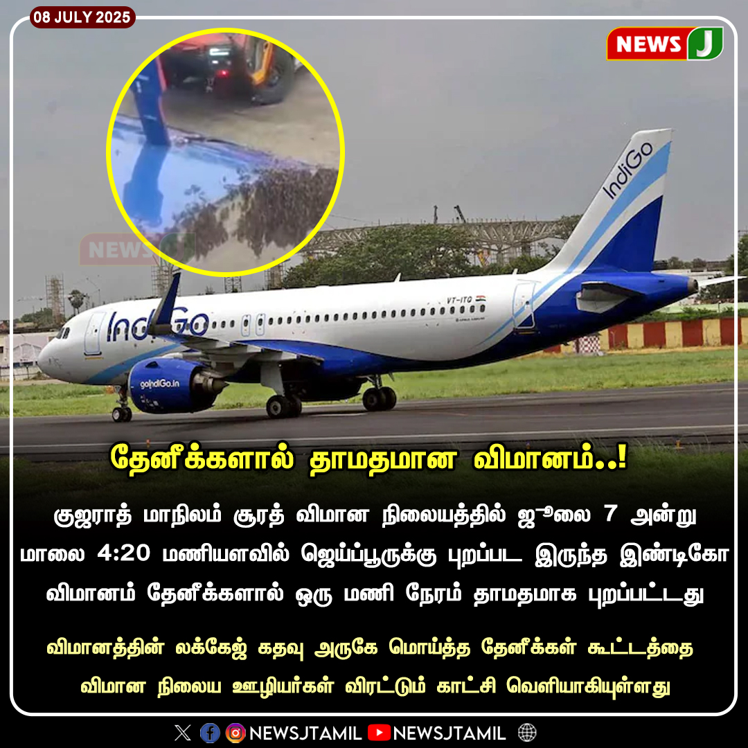 NewsJTamil's tweet image. தேனீக்களால் தாமதமான விமானம்..! 
#gujarat |  #indigoflight | #flightdelay | #newsj