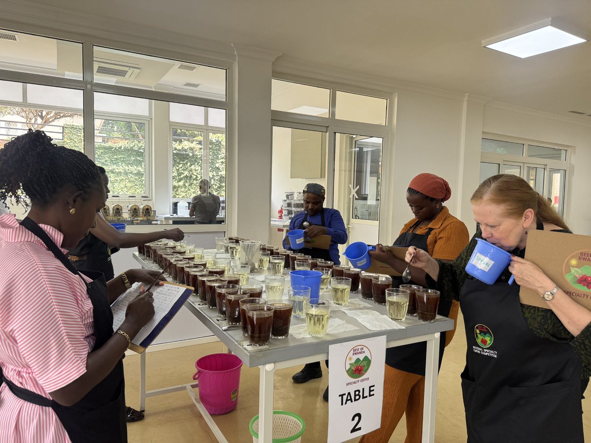 RwandAgriExport's tweet image. 🔥 The competition heats up!
We're in the pre-selection stage of the Best of Rwanda Coffee competition 2025.
Cuppers are evaluating coffees from across #Rwanda to find the best of the best beans.
Stay tuned as we journey towards crowning Rwanda’s top specialty coffee for 2025.