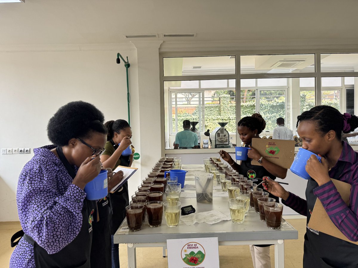 RwandAgriExport's tweet image. 🔥 The competition heats up!
We're in the pre-selection stage of the Best of Rwanda Coffee competition 2025.
Cuppers are evaluating coffees from across #Rwanda to find the best of the best beans.
Stay tuned as we journey towards crowning Rwanda’s top specialty coffee for 2025.