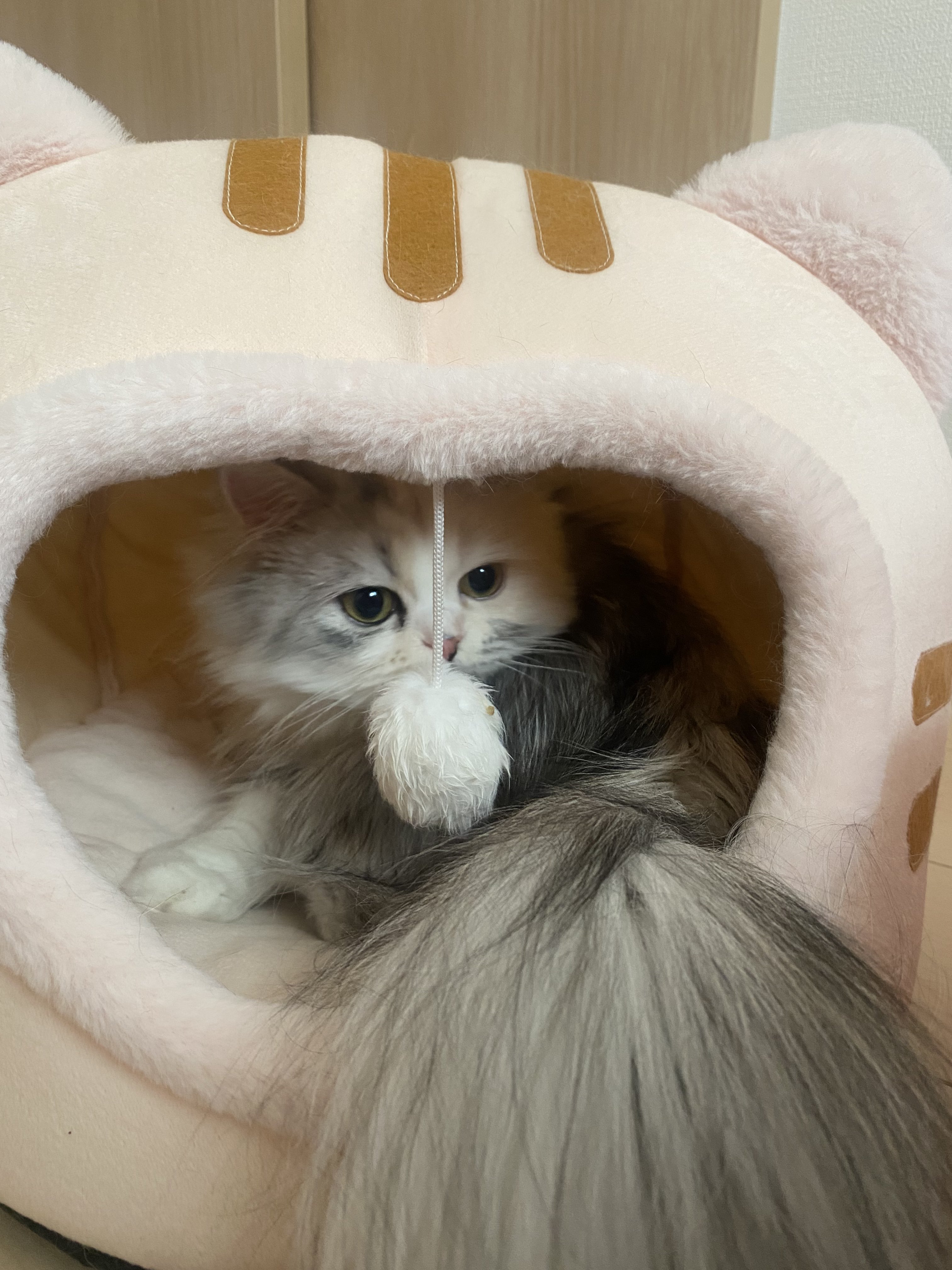 ◇ルナ (プロフ更新必読お願いいたします)様専用◇