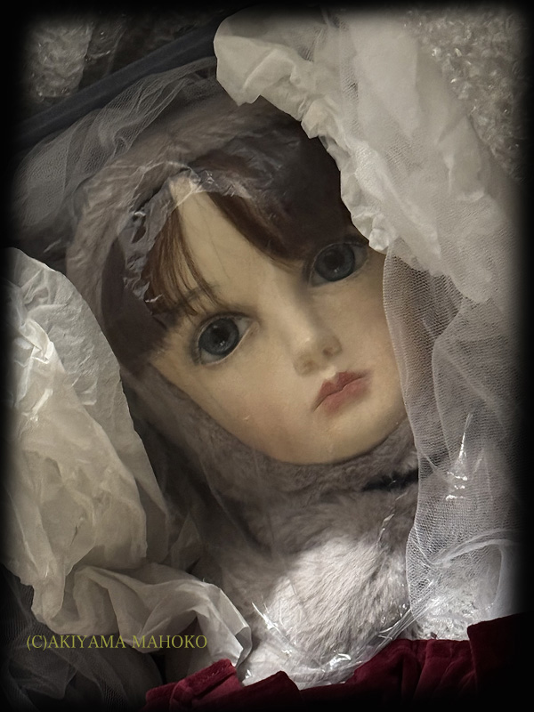 なりすまし被害に遭った同時期に
魔法少女の軌跡展から月と星が🌙⭐️
しっかりと丁寧に梱包して頂いて帰宅しました。
撤収現場での慌ただしい中
とても綺麗に整えて返却くださり本当に恐れ入ります。
横浜人形の家様 企画の長尾千斗様 スタッフの皆様🏰✨
大変お世話になり有難うございました。🙏🫶🕊️