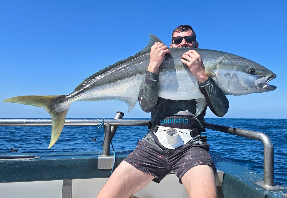 AnglersworldHol's tweet photo. 🇳🇿 Sea fishing in New Zealand = kingfish, snapper, trevally &amp; serious action. 🎣 Fish offshore with Anglers World Holidays — world-class saltwater adventure awaits. 👉 https://t.co/hJjIYEcyOd #SeaFishing #NewZealandFishing #SaltwaterFishing https://t.co/1nof2T1yq7