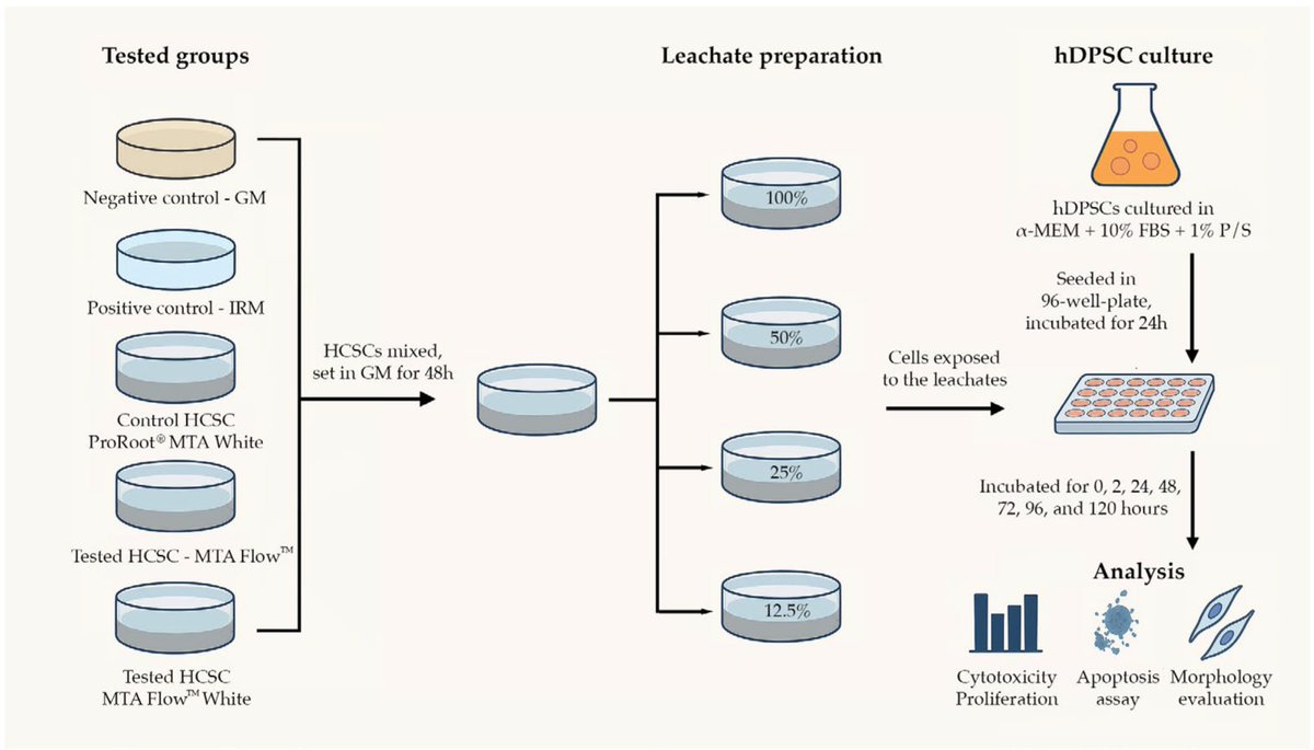 🔔#JFB_MDPI Welcomes you to read our publication "Biocompatibility of Hydraulic Calcium Silicate-Based Cement MTA FlowTM on Human Dental Pulp Stem Cells In Vitro" by Dr. Paulius Tušas et al.

✅Link: brnw.ch/21wTYCG

#MDPI #openaccess #dentistry #futureofdentistry