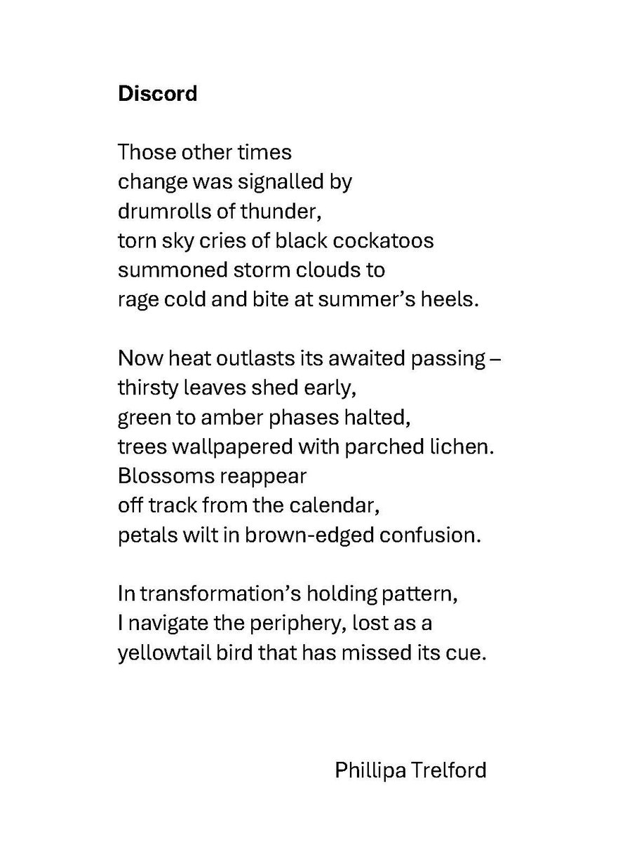 Phillipa Trelford (@phillipatrelfo1) on Twitter photo A brief poem for this week's 120=word prompt. Thank you to our lovely host <a href="/sandrajnoel/">sandra noel</a> of <a href="/TopTweetTuesday/">TopTweetTuesday</a>. Thank you for reading 'Discord', a climate-themed piece featuring one of my favourite Australian birds, the yellow-tailed black cockatoo.
#poetry A brief poem for this week's 120=word prompt. Thank you to our lovely host <a href="/sandrajnoel/">sandra noel</a> of <a href="/TopTweetTuesday/">TopTweetTuesday</a>. Thank you for reading 'Discord', a climate-themed piece featuring one of my favourite Australian birds, the yellow-tailed black cockatoo.
#poetry