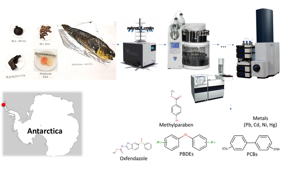 🌐Focusing：The beautiful Antarctica is also being affected by emerging pollutants!❄️
📢Title: Contaminants of emerging concern in Antarctica
 ✋What do you think of this phenomenon? 
🔗oaepublish.com/articles/jeea.…
#Antarctica #Contaminants  #RiskAssessment
