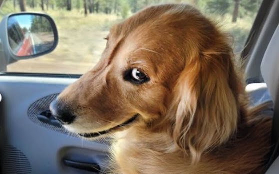 „Uuuund? Habt ihr?“