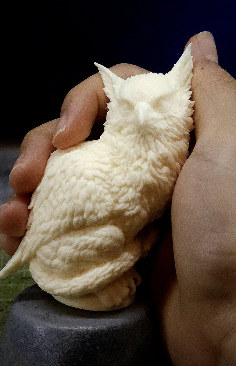 Lovely Griffin cub 🥰
#WF2025S