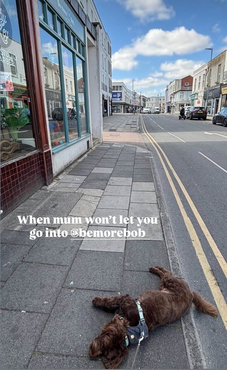 😂😂😂