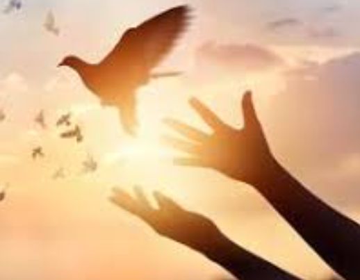 QuijotePP (@ppquijote) on Twitter photo Buenos Días 🌏
Buenos Días 🇨🇺
Que cada día sea un motivo para seguir abogando por la paz.
#ConMisPropiasManos
¡Que vuelen las Palomas de la Paz y el Amor!
#MásAmorParaVivirEnPaz
<a href="/DeZurdaTeam_/">DeZurdaTeam 📳</a>
<a href="/LiaVeronas/">Lia Verona 🇨🇺</a>
<a href="/Yaramsi3/">Yaramsi</a>
<a href="/Adisley_Mtz/">Adisley R.Reyes 🇨🇺</a>
<a href="/CanoLianet/">Departamento ICS Municipio Las Tunas 🇨🇺</a>
<a href="/duniaescobar72/">Escobar88</a>
<a href="/Laguerrillera4/">La guerrillera</a> Buenos Días 🌏
Buenos Días 🇨🇺
Que cada día sea un motivo para seguir abogando por la paz.
#ConMisPropiasManos
¡Que vuelen las Palomas de la Paz y el Amor!
#MásAmorParaVivirEnPaz
<a href="/DeZurdaTeam_/">DeZurdaTeam 📳</a>
<a href="/LiaVeronas/">Lia Verona 🇨🇺</a>
<a href="/Yaramsi3/">Yaramsi</a>
<a href="/Adisley_Mtz/">Adisley R.Reyes 🇨🇺</a>
<a href="/CanoLianet/">Departamento ICS Municipio Las Tunas 🇨🇺</a>
<a href="/duniaescobar72/">Escobar88</a>
<a href="/Laguerrillera4/">La guerrillera</a>