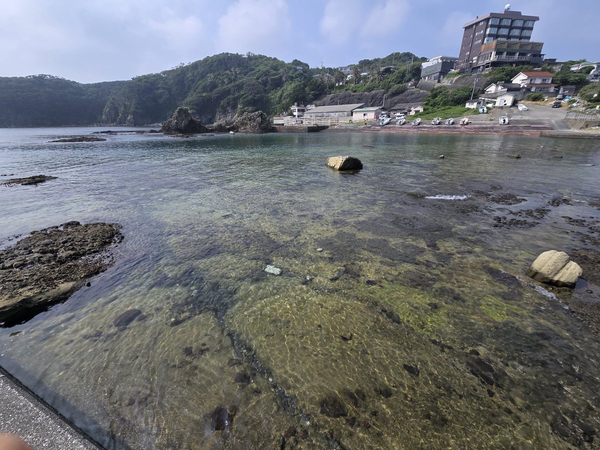 hanaboushi's tweet photo. 暑い日が続いているのでちょっと涼みに
気温30℃ 海水温25℃
1時間ほどですが、今年もお魚さん集まってます
ハタンポは200~300くらい
#下田 #恵比須島 #シュノーケリング #海水浴 #伊豆 #ebisujima #simoda #izu
#ハタンポ https://t.co/nTUWdA7UTW