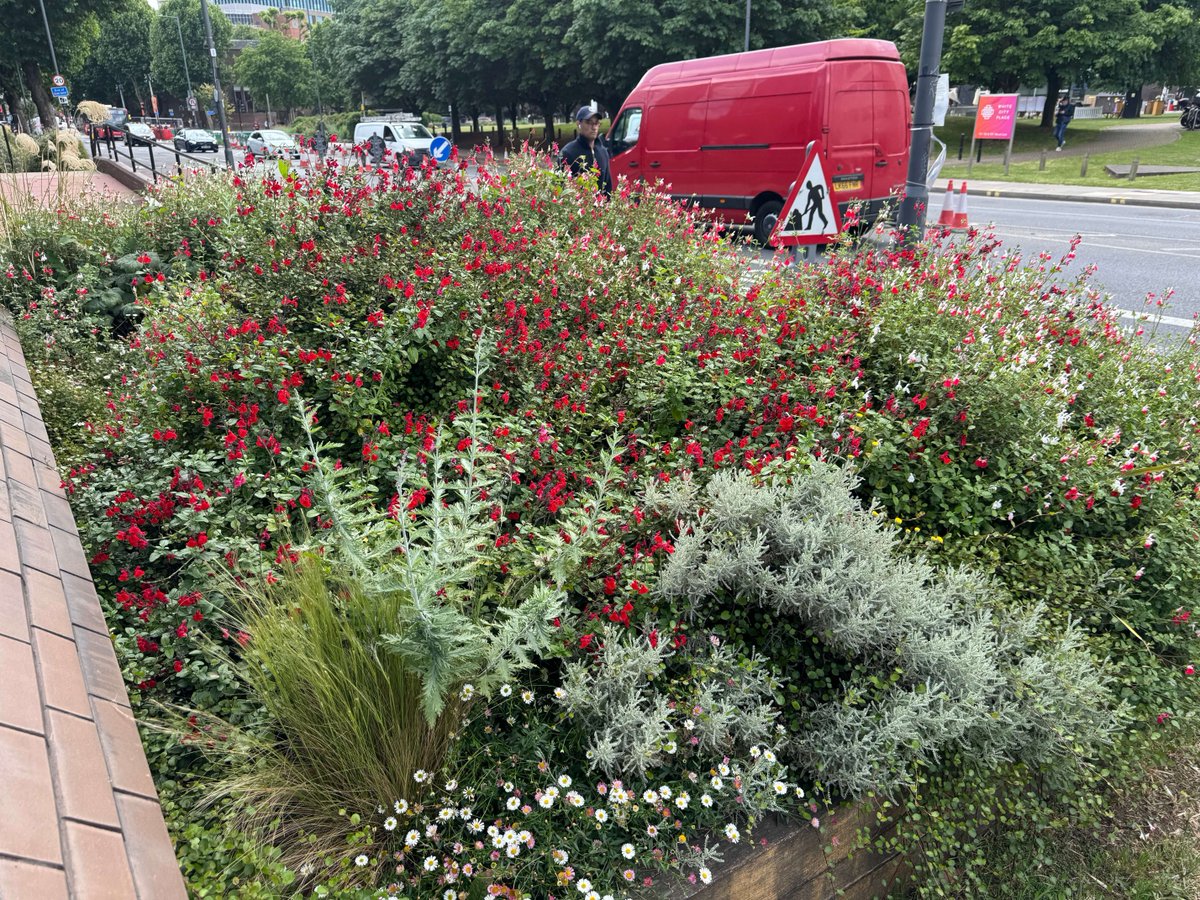 MeristemDesign's tweet image. Summer’s in full bloom at Imperial College London’s White City Campus 🌿🌸
We designed vibrant outdoor study hubs + parklets with:
🌱 Drought-tolerant planting
😌 Tiered seating for study & rest
🪷 Green roofs & fragrant climbers
📗 A green route from station to campus
