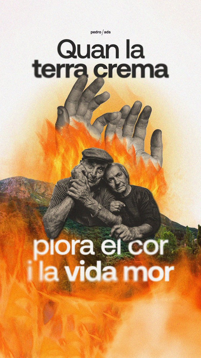 pedro / ads tweet media