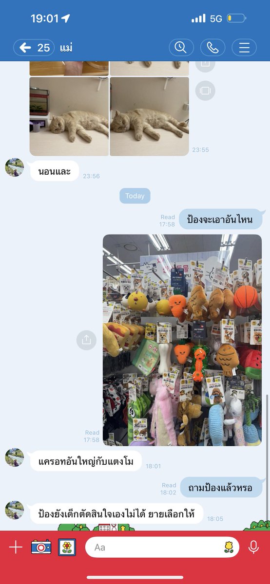 วันๆของแม่ชั้น คนที่เคยบอกว่าห้ามเอาแมวเข้ามาในบ้าน