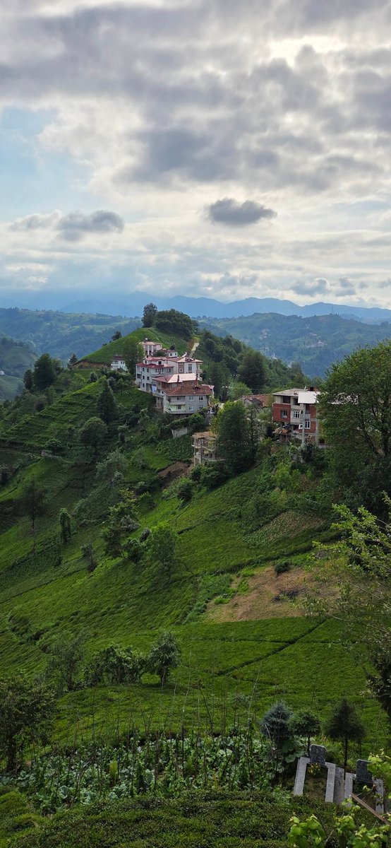 Tablo görünümünde bir manzara #of #ukşul #balabanmahallesi