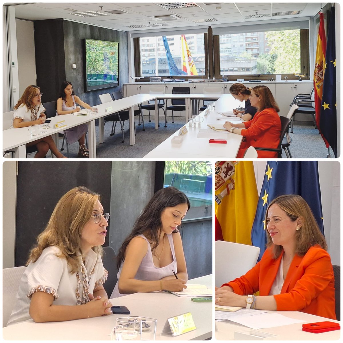 Un placer dialogar con <a href="/nuriavilanova/">Núria Vilanova Giralt</a>, presidenta de <a href="/CEAPIconsejo/">CEAPI</a>, sobre cómo reforzar los lazos empresariales con Iberoamérica, una región clave.

➡️Fomentar una relación fuerte UE–Latinoamérica.

➡️España lidera el impulso del acuerdo UE–Mercosur y la agenda #GlobalGateway. 🇪🇺