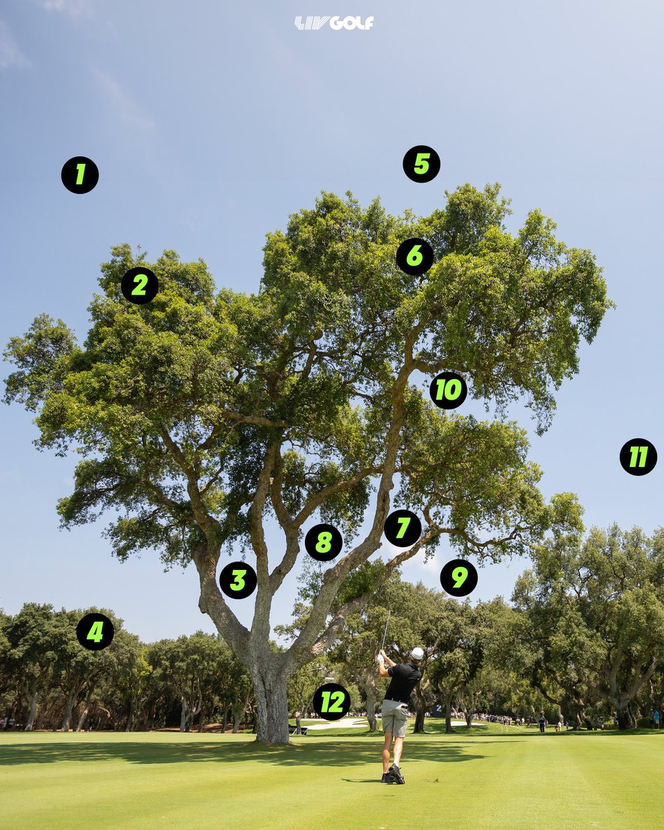 Which line are you taking on your approach shot into No.2 at Valderrama? 🧐

#LIVGolfAndalucía