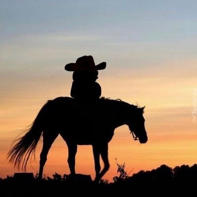 what if the ultimate hedge for the pump tge sol sell off is to simply bridge to gorbagana