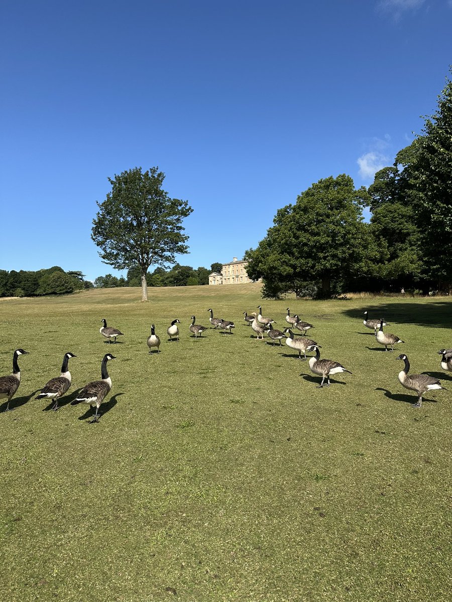 Emma Price (@emmapricenhs) on Twitter photo Always grateful for <a href="/Cusworth_Hall/">Cusworth Hall & Park</a> on my doorstep and an early Birthday walk before I drag Mr Price shopping 🤣 Always grateful for <a href="/Cusworth_Hall/">Cusworth Hall & Park</a> on my doorstep and an early Birthday walk before I drag Mr Price shopping 🤣