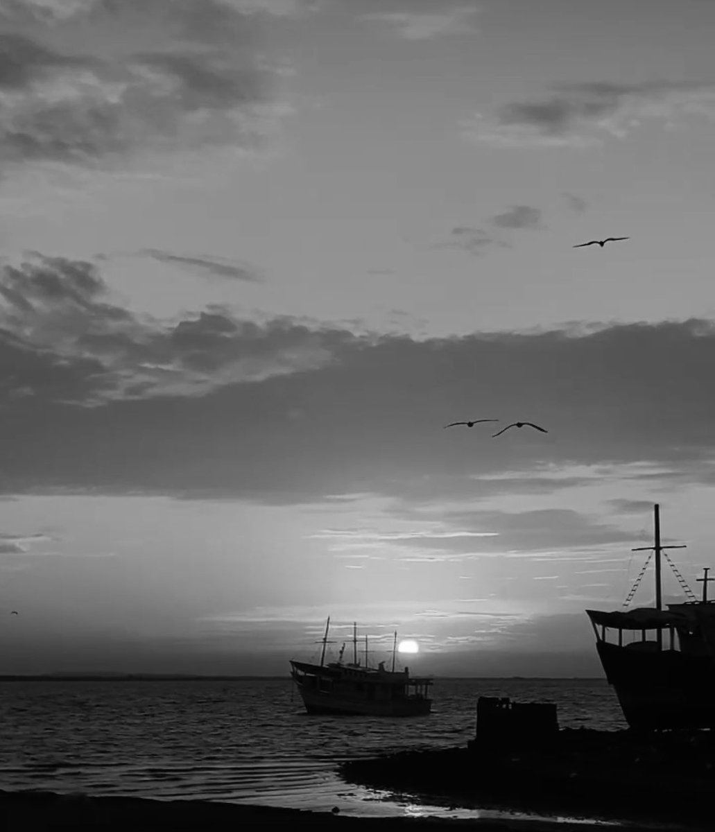 alexcochense's tweet image. Buenos días.
Salud u bendiciones.
Boca del Rio .
Isla de #margarita #venezuela