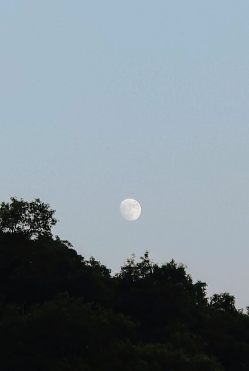 SeikoTamori's tweet image. #今日の最高気温
34.8 桑名
34.5 伊賀
33.9 鳥羽
33.8 伊勢
33.4 四日市
33.3 粥見
33.0 紀北
32.5 亀山、南伊勢、尾鷲、熊野
32.4 津
昨日より低いものの平年を3〜5℃上回り 湿度が高くなりました
■9日(水)
曇り のち 晴れ⛅️
午後は夕立があるかも
【最高】
31〜35℃ 今日と同程度で蒸し暑い💦