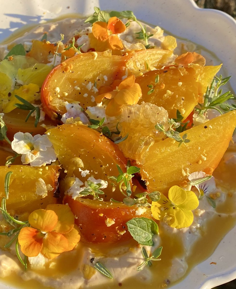 crystallisedfig's tweet image. Roasted golden beets on spiced miso yoghurt