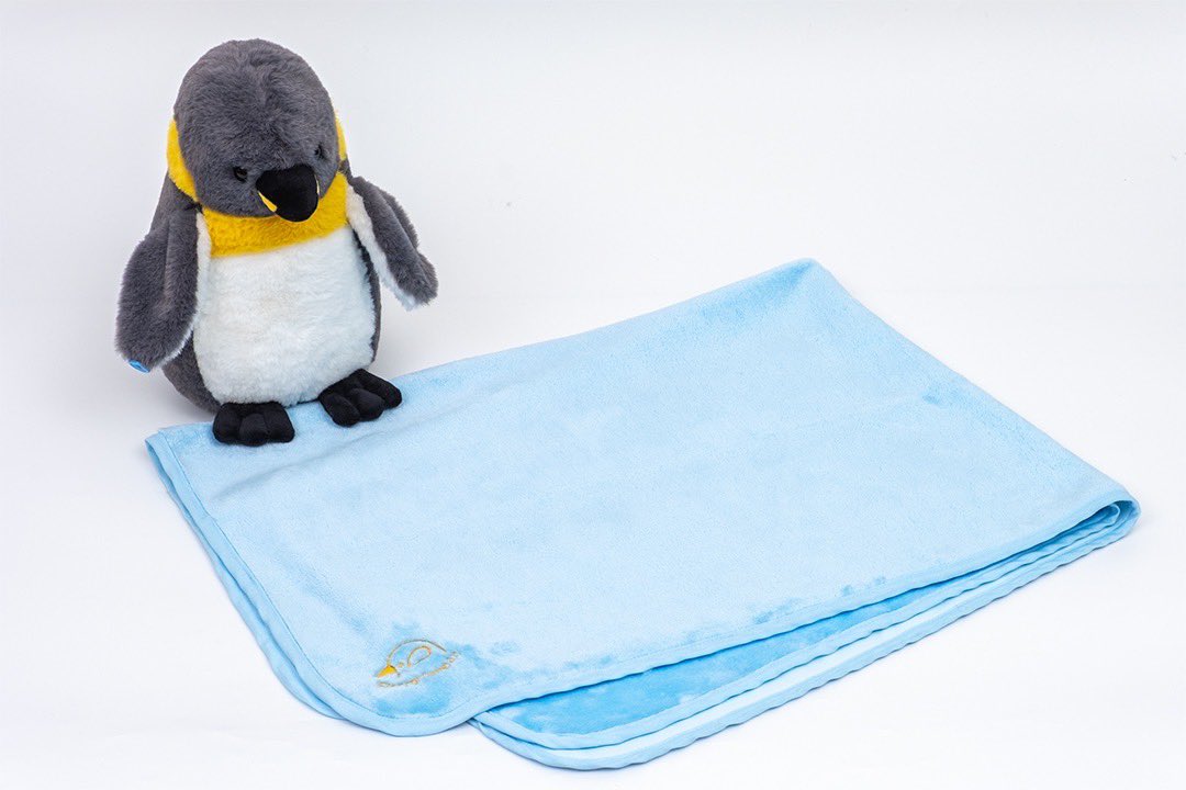 冷感ブランケット持ってきました❄️ お昼寝しよ🐧💤 プレゼント