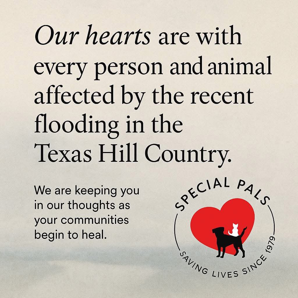 The recent flooding across the Texas Hill Country has been devastating. To those that have been affected our hearts are with you. 

 If you have been displaced and in need of pet supplies, please feel free to contact us.