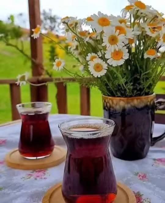 Hayat bir tercih meselesidir.
Geçmişi düşünürsen masal, geleceği düşünürsen hikaye, bugünü düşünürsen gerçektir.
Her güne hayatının en güzel günü olması için şans ver 🌼
Mark Twain…
#Günaydın 
Gününüz güzel olsun ☀️☕️

#SevgiyleKalın