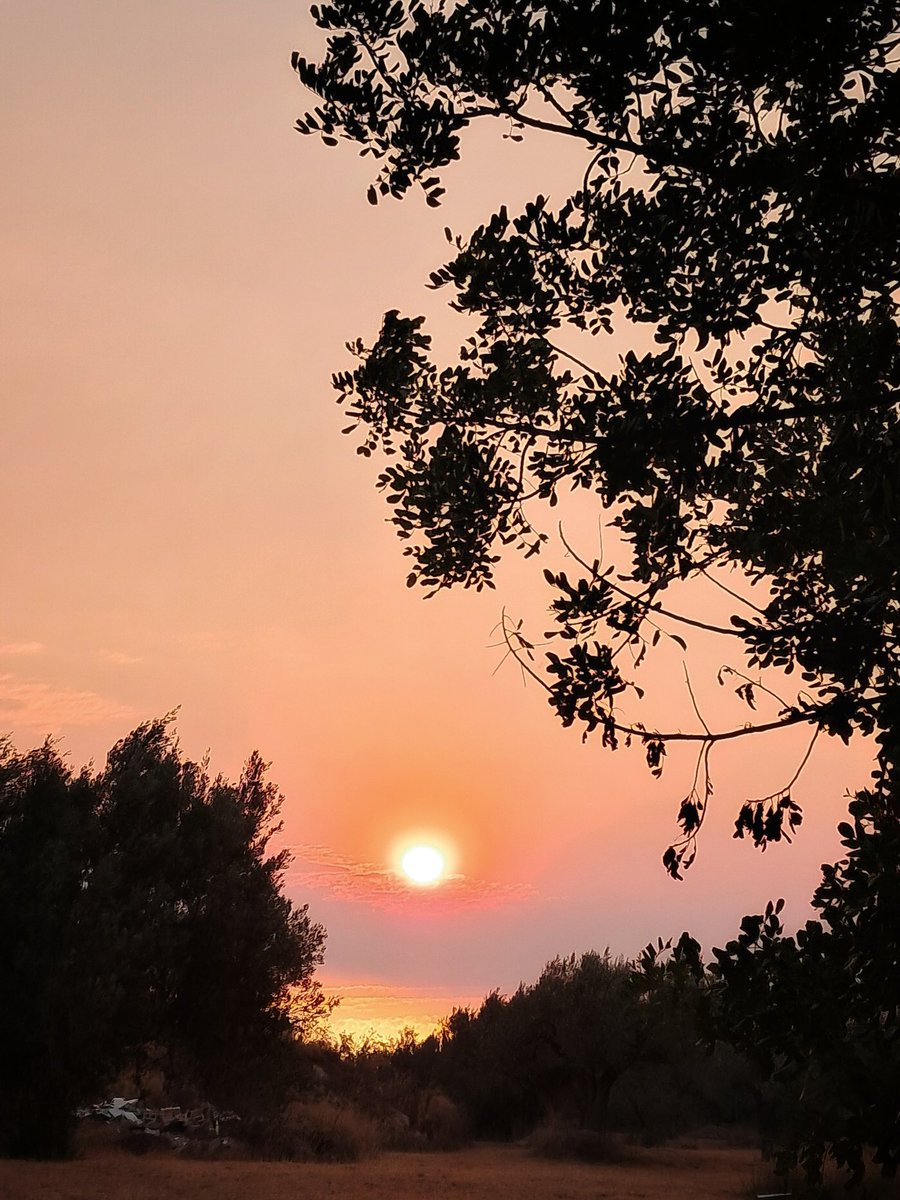 Bon dia, per dir algo