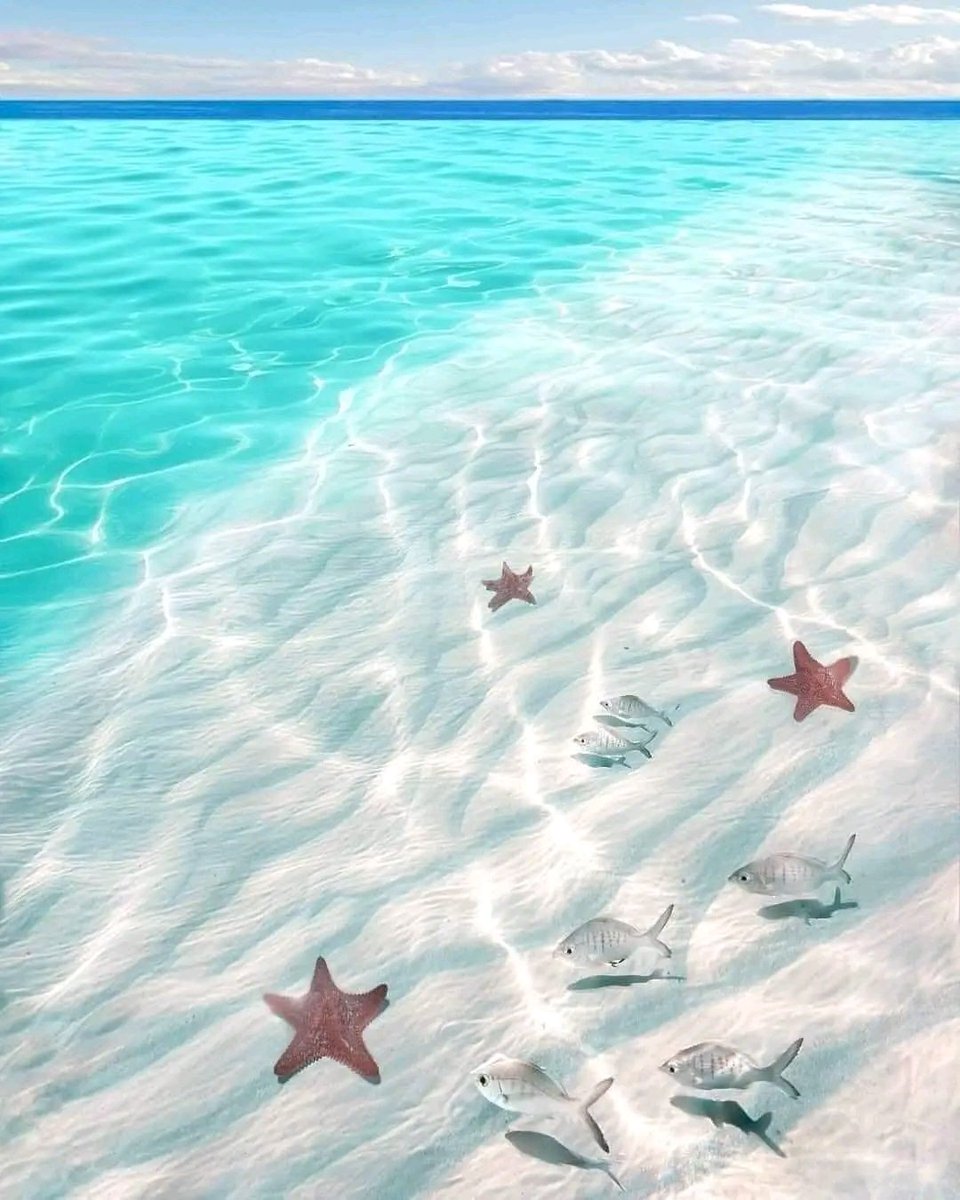 Pristene waters in the Bahamas💙🇧🇸