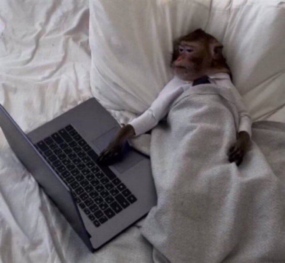 azwan_'s tweet image. TNB app devs looking at your complaints today