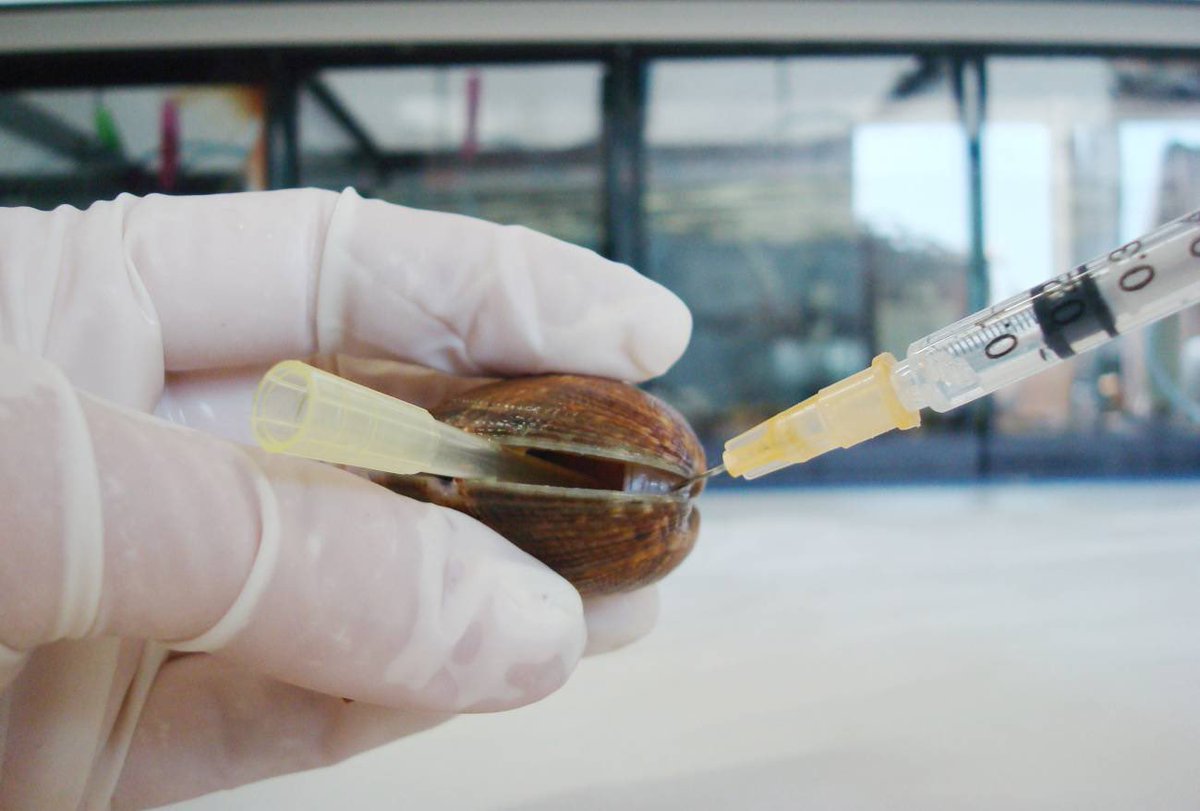 El entorno que nos rodea puede proveernos de diversas sustancias que pueden ayudar a tratar diversas patologías. Actinomicetos en el suelo o algas marinas parecen de los más conocidos, pero hay más. 
FÁRMACOS procedentes del reino animal y vegetal