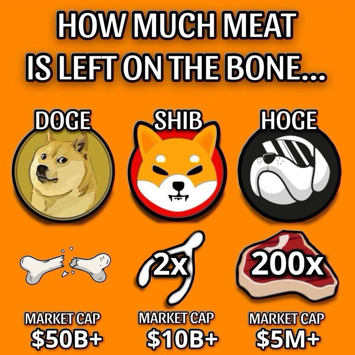 RealHoge's tweet photo. @davidgokhshtein Prepare yourselves and grab a bag of $HOGE https://t.co/y4eF9Q0Qzu