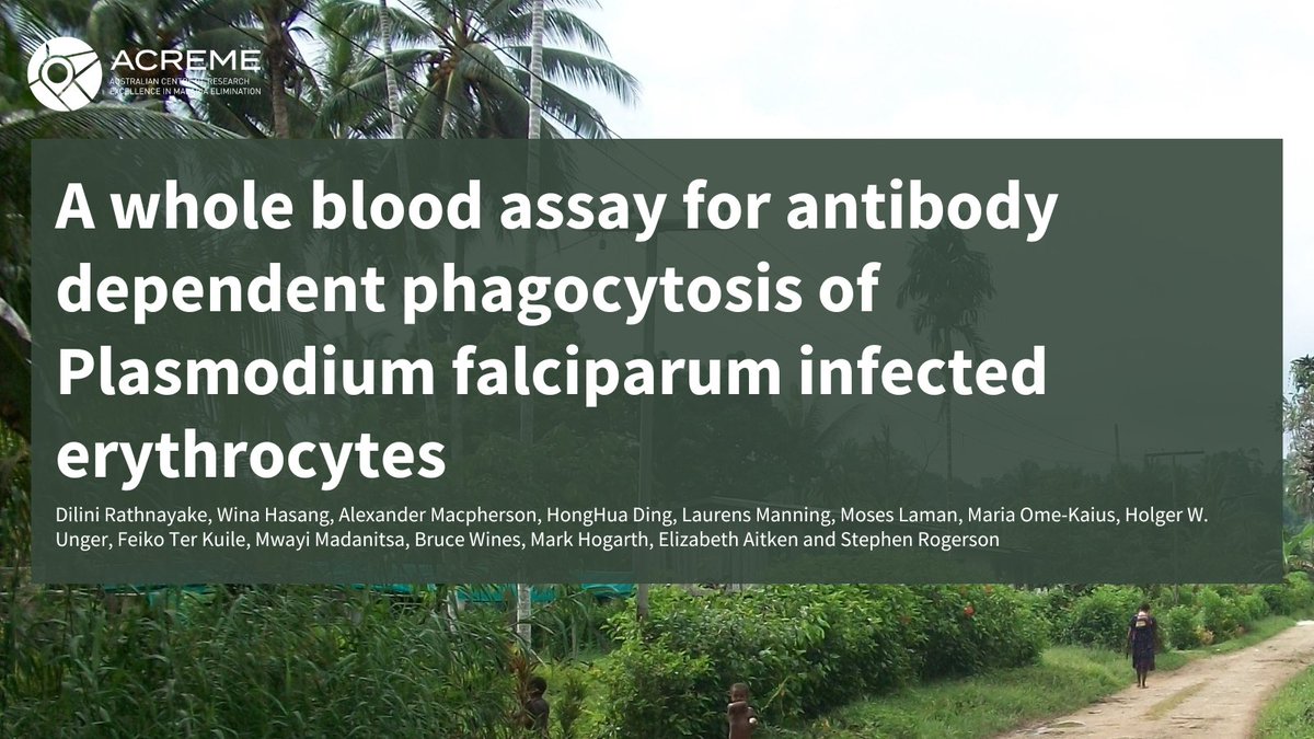 To better understand how infected cells are cleared, we developed an assay that measures the number of protein-coated infected cells eaten by white blood cells - this assay can help identify people who are susceptible to/protected from #malaria🔗shorturl.at/3q6mu