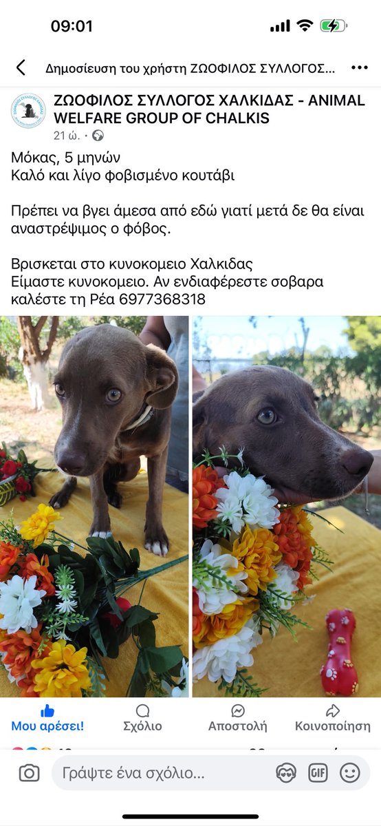 Rika Passa (@rikoulini) on Twitter photo 