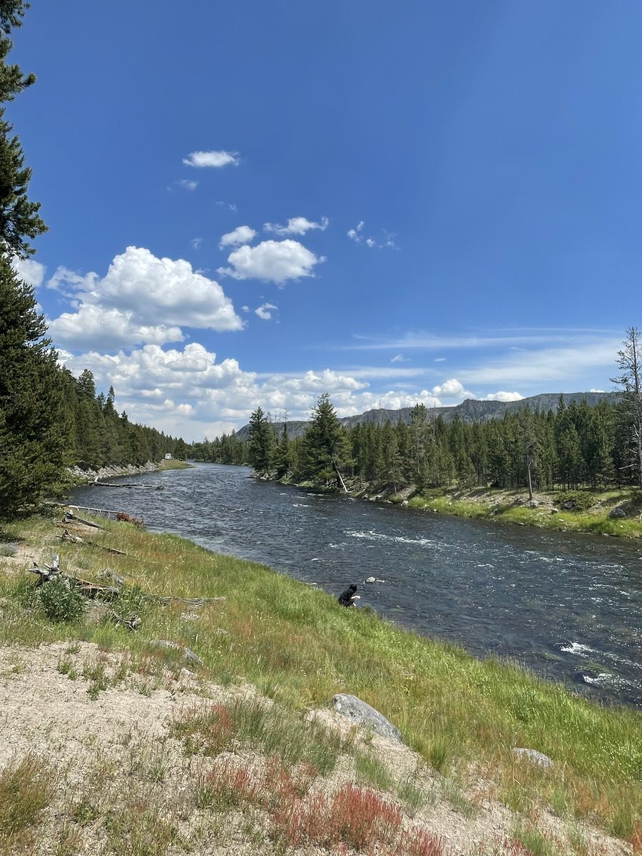 断网的一天我跑去了美国嗯。