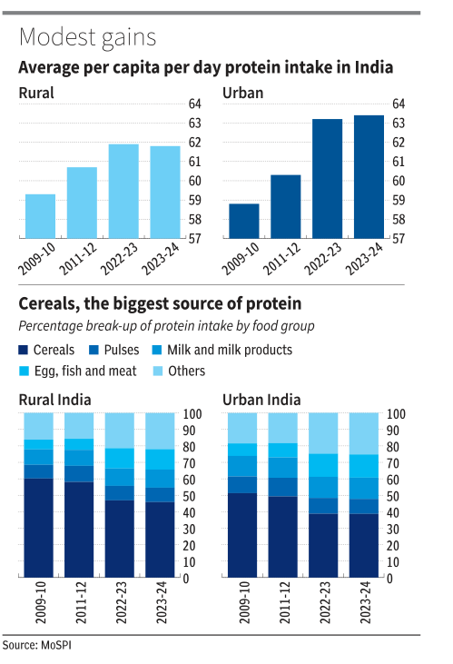 Data Stories from BusinessLine (@bl_datastories) on Twitter photo India’s protein intake rose slightly in FY24. 61.8g/day in rural areas and 63.4g in urban areas. Experts say it’s still below ideal for most people.
✍️<a href="/SindhuHarih/">Sindhu Hariharan</a>
✍️<a href="/YashaswaniChau1/">Yashaswani Chauhan</a>
Data story for <a href="/businessline/">businessline</a>
Read: thehindubusinessline.com/data-stories/d… India’s protein intake rose slightly in FY24. 61.8g/day in rural areas and 63.4g in urban areas. Experts say it’s still below ideal for most people.
✍️<a href="/SindhuHarih/">Sindhu Hariharan</a>
✍️<a href="/YashaswaniChau1/">Yashaswani Chauhan</a>
Data story for <a href="/businessline/">businessline</a>
Read: thehindubusinessline.com/data-stories/d…