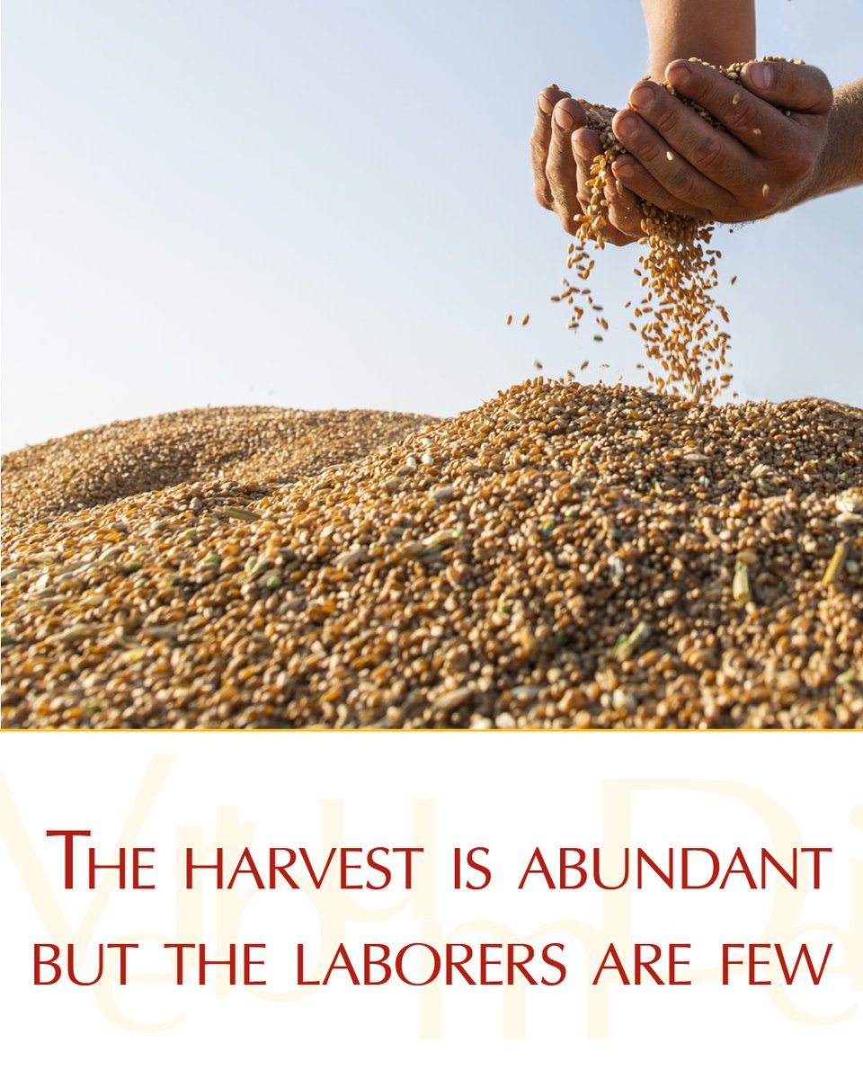 Gospel of the Day (Matthew 9,32-38)

A demoniac who could not speak was brought to Jesus, and when the demon was driven out the mute person spoke. The crowds were amazed and said, "Nothing like this has ever been seen in Israel." But the Pharisees said, "He drives out demons by