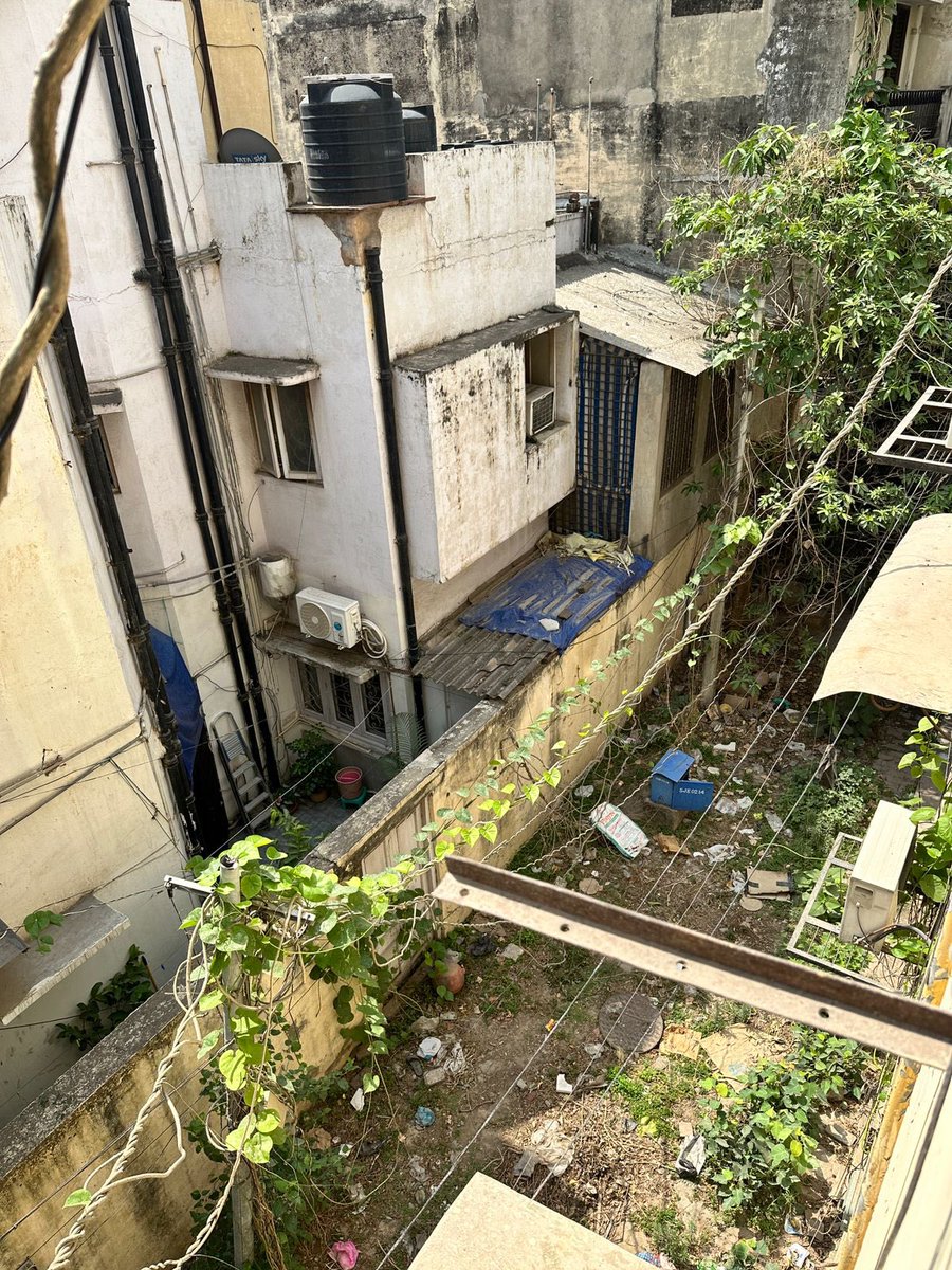 alka bhargava (@alka_b87) on Twitter photo This is the state of affairs in B2 Safdarjang Enclave, New Delhi posing a serious hazard. Request for removing these to MCD for past one year and DM and mail to BSES have been of no use. Creepers going up to the 4th floor <a href="/bsesdelhi/">BSES Delhi</a> <a href="/MCD_Delhi/">Municipal Corporation of Delhi</a> <a href="/gupta_rekha/">Rekha Gupta</a> This is the state of affairs in B2 Safdarjang Enclave, New Delhi posing a serious hazard. Request for removing these to MCD for past one year and DM and mail to BSES have been of no use. Creepers going up to the 4th floor <a href="/bsesdelhi/">BSES Delhi</a> <a href="/MCD_Delhi/">Municipal Corporation of Delhi</a> <a href="/gupta_rekha/">Rekha Gupta</a>