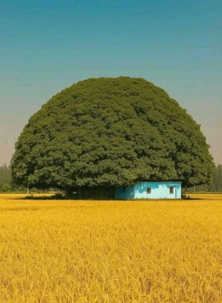 Empty Spaces (@whataemptyspace) on Twitter photo 