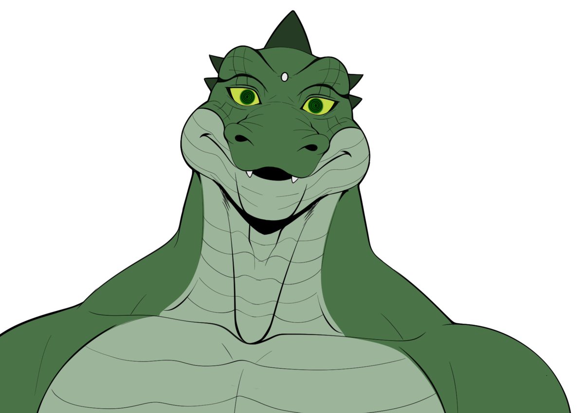 Let’s welcome our newest ragdoll to our family