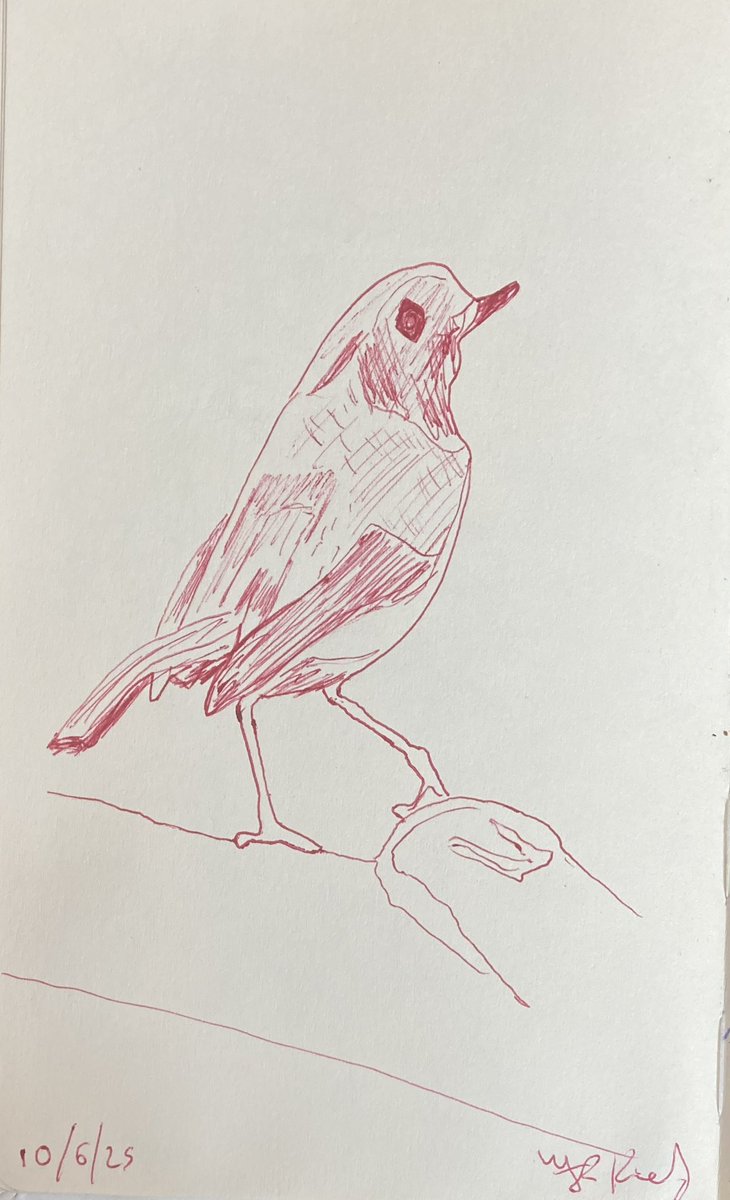 Today’s #sketch from 10/6/25 of #Nature #ballpoint #Pen #Drawing 21.5 x 13.5 cms  on paper

More sketches
instagram.com/frankkiely/