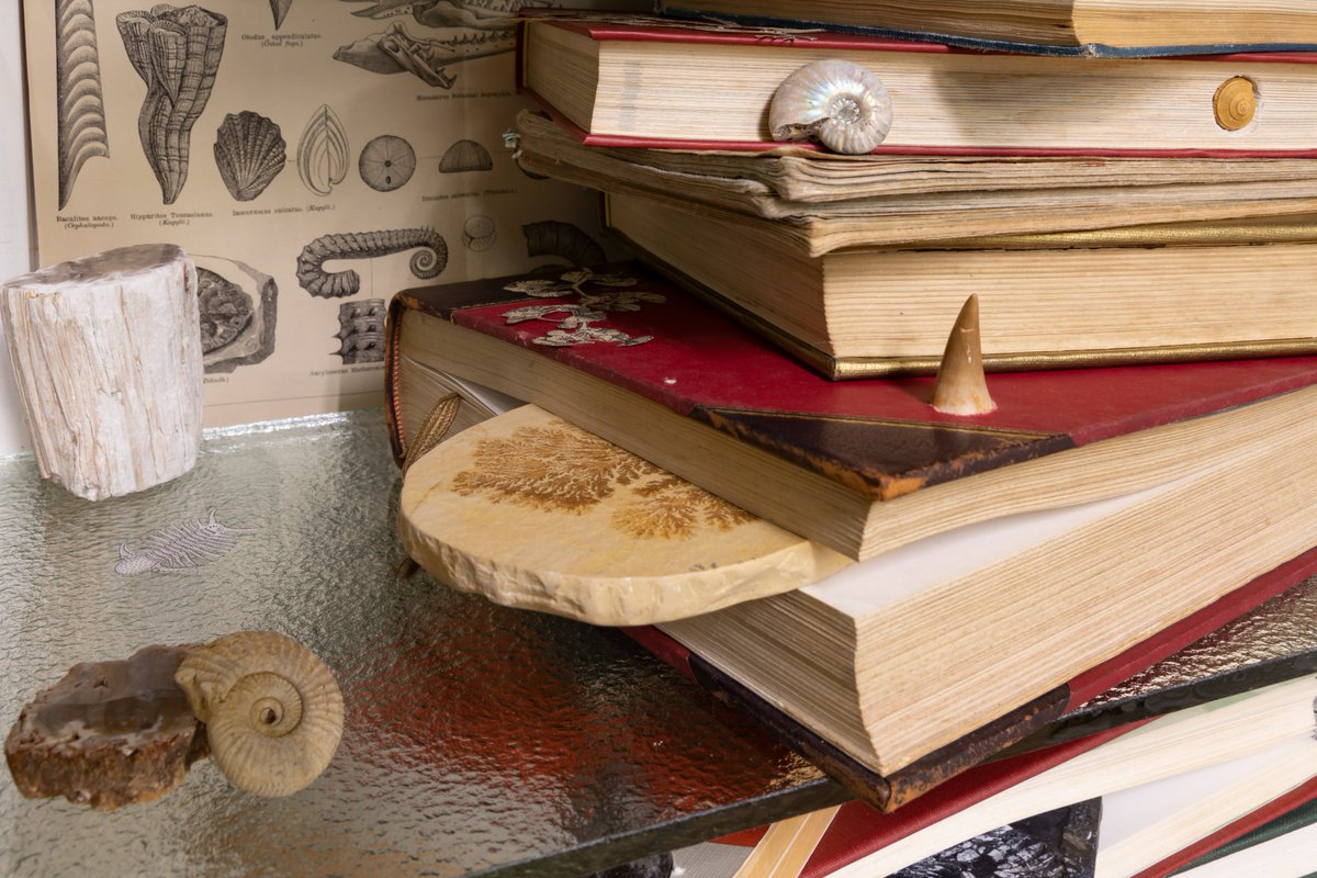 bijutsutecho_'s tweet image. 【資生堂ギャラリーで髙田安規子・政子による個展が開催へ】
bijutsutecho.com/magazine/news/…

資生堂ギャラリーで、「髙田安規子・政子　Perspectives　この世界の捉え方」が開催されます。
会期は8月26日～12月7日。