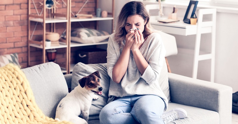 🤧🌍 En el #DíaMundialDeLaAlergia, recordamos que no todo lo que nos rodea es inofensivo: el sistema inmunitario a veces reacciona de más.

Descubre qué puede provocar una #alergia y cómo prevenirla 👉 ow.ly/rTut30snGAw

#ASISASalud