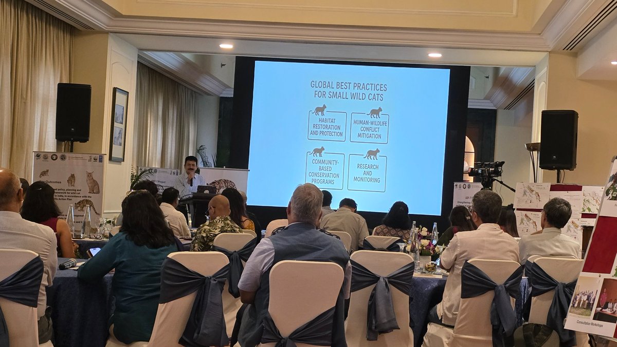 Unitedfortigers's tweet image. Ongoing - Planning workshop of the GEF7 small wild cats project