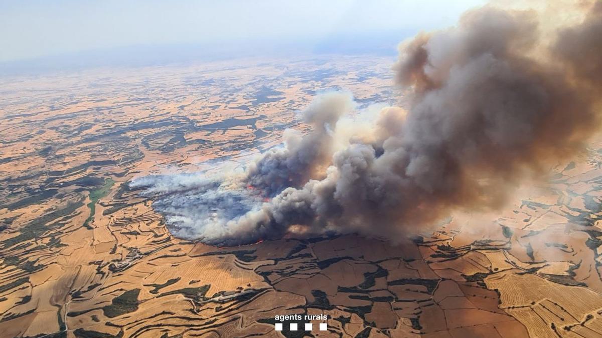 Som_PPCC's tweet image. La gestió dels boscos, conreus, camins i carreteres és imprescindible per la defensa del territori davant els incendis. #DefensemLaTerra