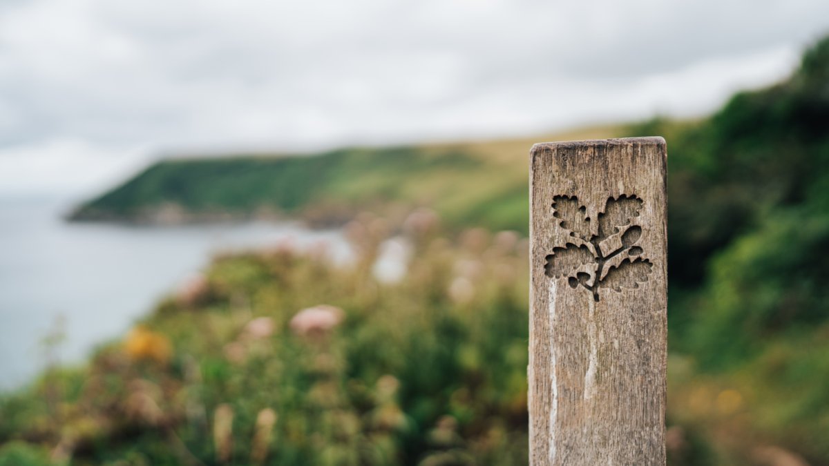 Set your alarms, MoneySavers! ⏰

National Trust will be releasing a free family pass voucher (normally £35ish) online at 9.30am this morning (8 July). 

These vouchers are very popular, so will go very quickly - here's how to get one 👇
moneysavingexpert.com/deals/national…