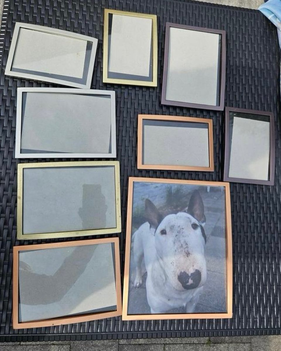 redravenbazaar's tweet image. Gallery wall dreams start here. A set of 9 preloved frames in a mix of sizes and soft hues - ready to hold your stories! Link in bio 👆🏻

link.marktplaats.nl/m2274628181

#vintagefinds #secondhandstyle #thriftedhome #gallerywallideas #curatedcorners