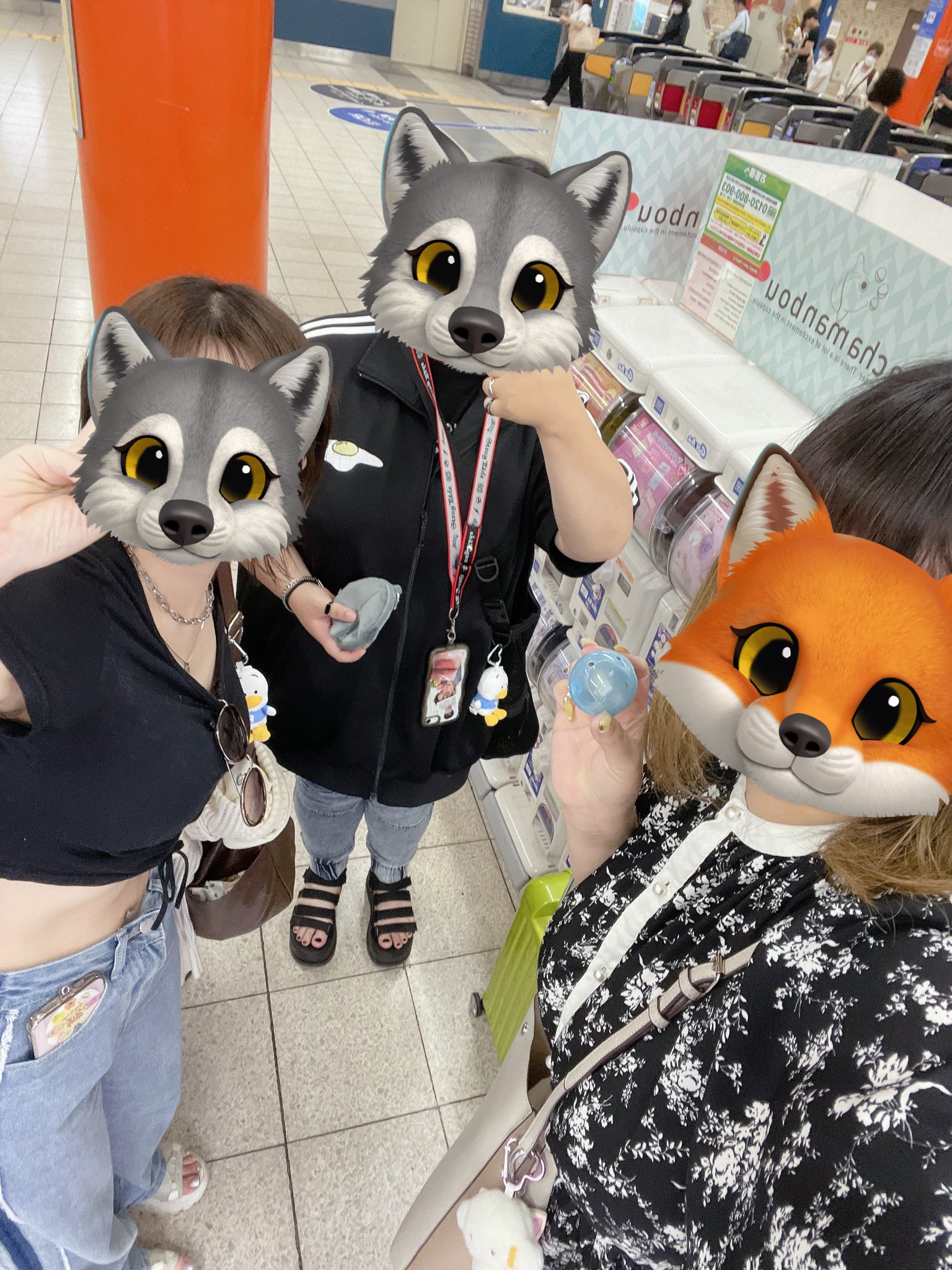 おきつね銀河さん🦊 on X: 